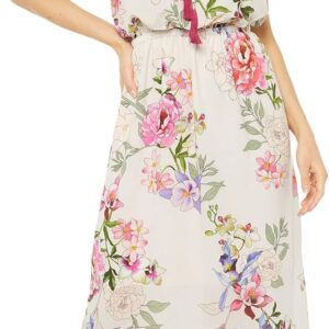 Adrianna Papell Women's Floral Border Print Maxi Dress