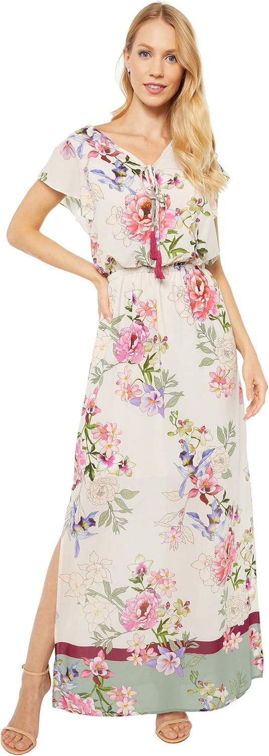 Adrianna Papell Women's Floral Border Print Maxi Dress